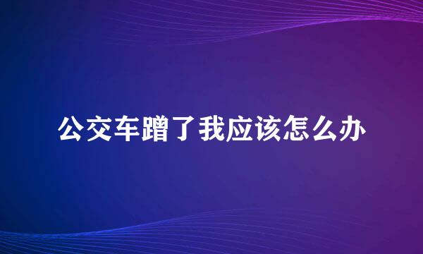 公交车蹭了我应该怎么办