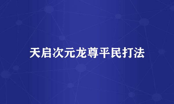天启次元龙尊平民打法