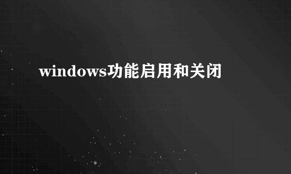 windows功能启用和关闭