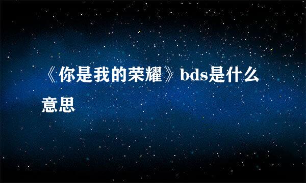《你是我的荣耀》bds是什么意思
