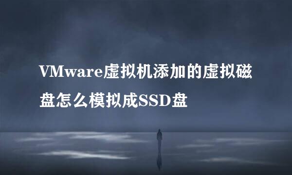 VMware虚拟机添加的虚拟磁盘怎么模拟成SSD盘