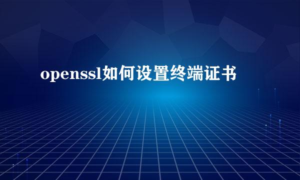 openssl如何设置终端证书