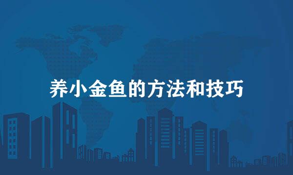 养小金鱼的方法和技巧