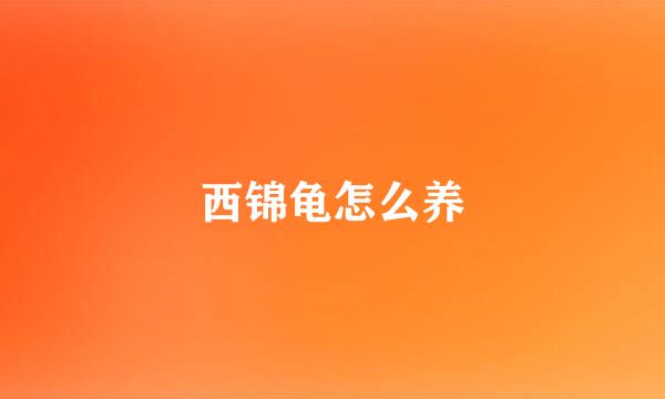 西锦龟怎么养