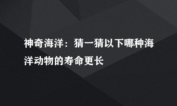 神奇海洋：猜一猜以下哪种海洋动物的寿命更长