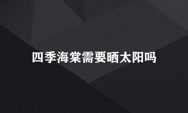 四季海棠需要晒太阳吗