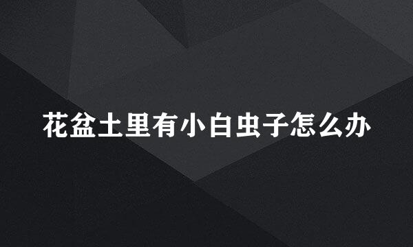 花盆土里有小白虫子怎么办