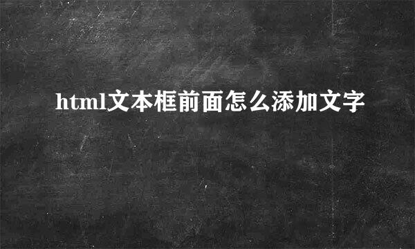 html文本框前面怎么添加文字