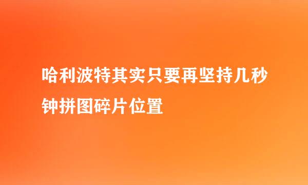 哈利波特其实只要再坚持几秒钟拼图碎片位置