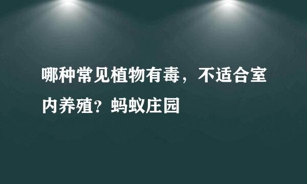 哪种常见植物有毒，不适合室内养殖？蚂蚁庄园