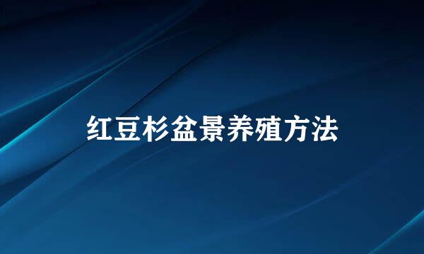 红豆杉盆景养殖方法