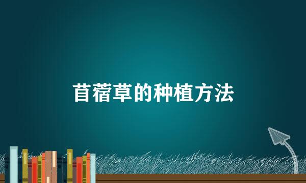 苜蓿草的种植方法