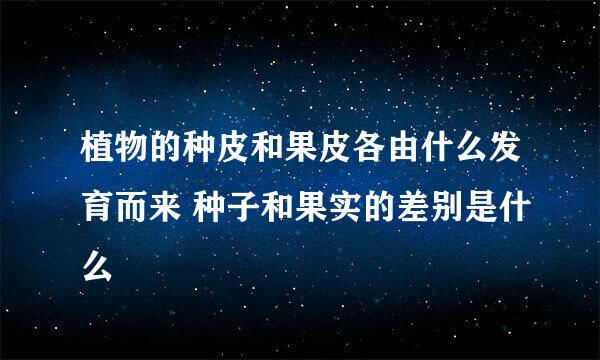 植物的种皮和果皮各由什么发育而来 种子和果实的差别是什么