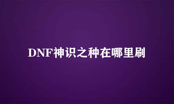 DNF神识之种在哪里刷