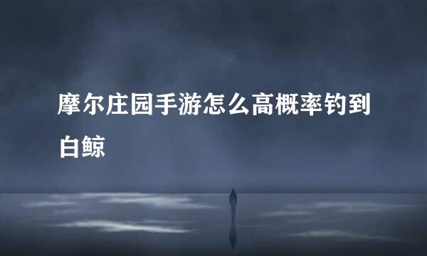 摩尔庄园手游怎么高概率钓到白鲸