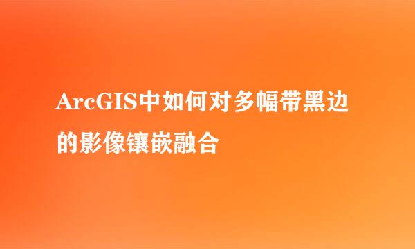 ArcGIS中如何对多幅带黑边的影像镶嵌融合