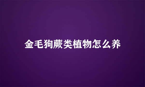 金毛狗蕨类植物怎么养