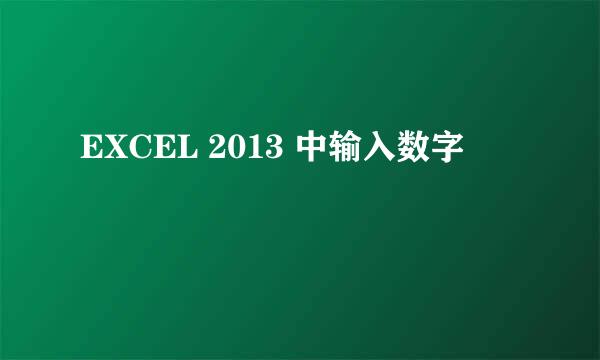 EXCEL 2013 中输入数字
