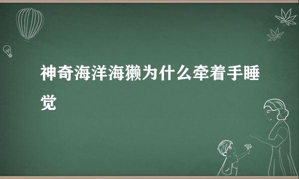 神奇海洋海獭为什么牵着手睡觉