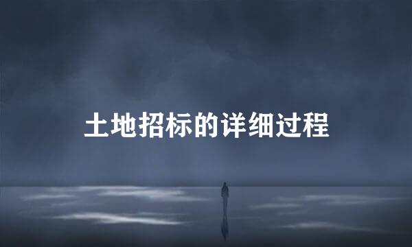 土地招标的详细过程